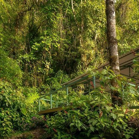 Hotel Quelitales Cachí Екстериор снимка